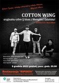Koncert zespołu Cotton Wing