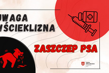 Wścieklizna. Przypominamy o szczepieniach 