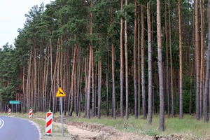 Budowa ciągu pieszo-rowerowego przy drodze gminnej prowadzącej z Włoszakowic do Dominic