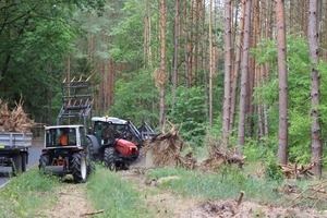 Budowa ciągu pieszo-rowerowego przy drodze gminnej prowadzącej z Włoszakowic do Dominic