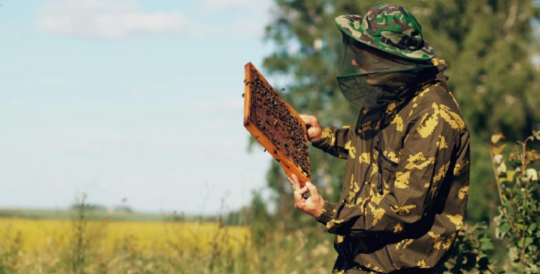 Wsparcie dla wielkopolskich pszczelarzy