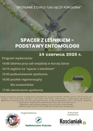 Spotkanie Las łączy Pokolenia „Spacer z leśnikiem – podstawy entomologii”